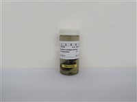 藏品(紅嘴黑鵯)的圖片